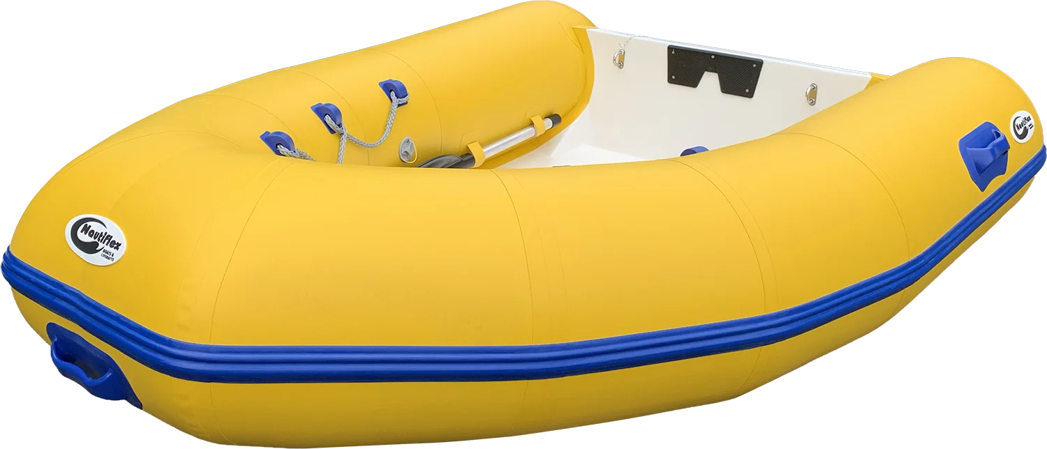 NX 200