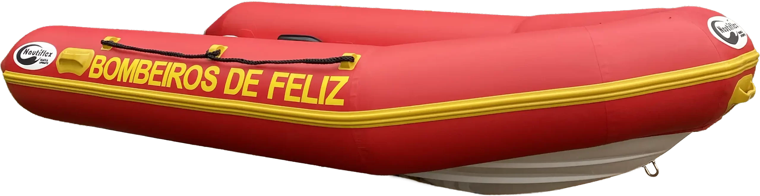 NX310-feliz